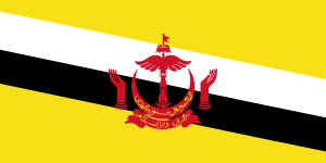 Brunei (10GB over 30 days)