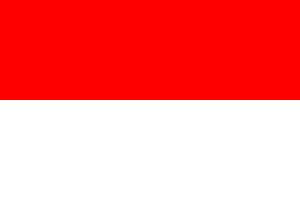 Indonesia (100GB over 30 days)