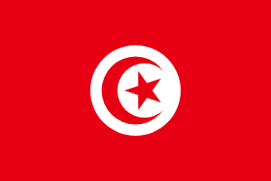Tunisia (100GB over 30 days)